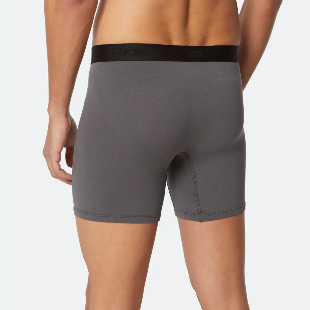 Long Fitted Trunk Grey